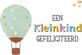 Kaart - Daisy - Een kleinkind gefeliciteerd - DSY004-A