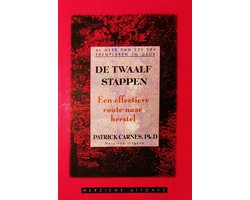 De Twaalf Stappen : Een effectieve route naar herstel