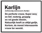 Karlijn Woordenboek Grappig Fotolijst met glas 50 x 70 cm - Cadeau - Kado - Schilderij - Muur - Verjaardag - foto - Poster - incl ophangsysteem