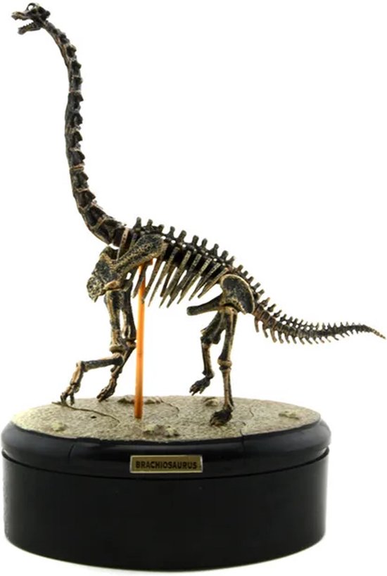 Brachiosaurus Fossiel Miniatuur - Prehistorie - Skelet - Geschiedenis - Dinosaurus - Dino