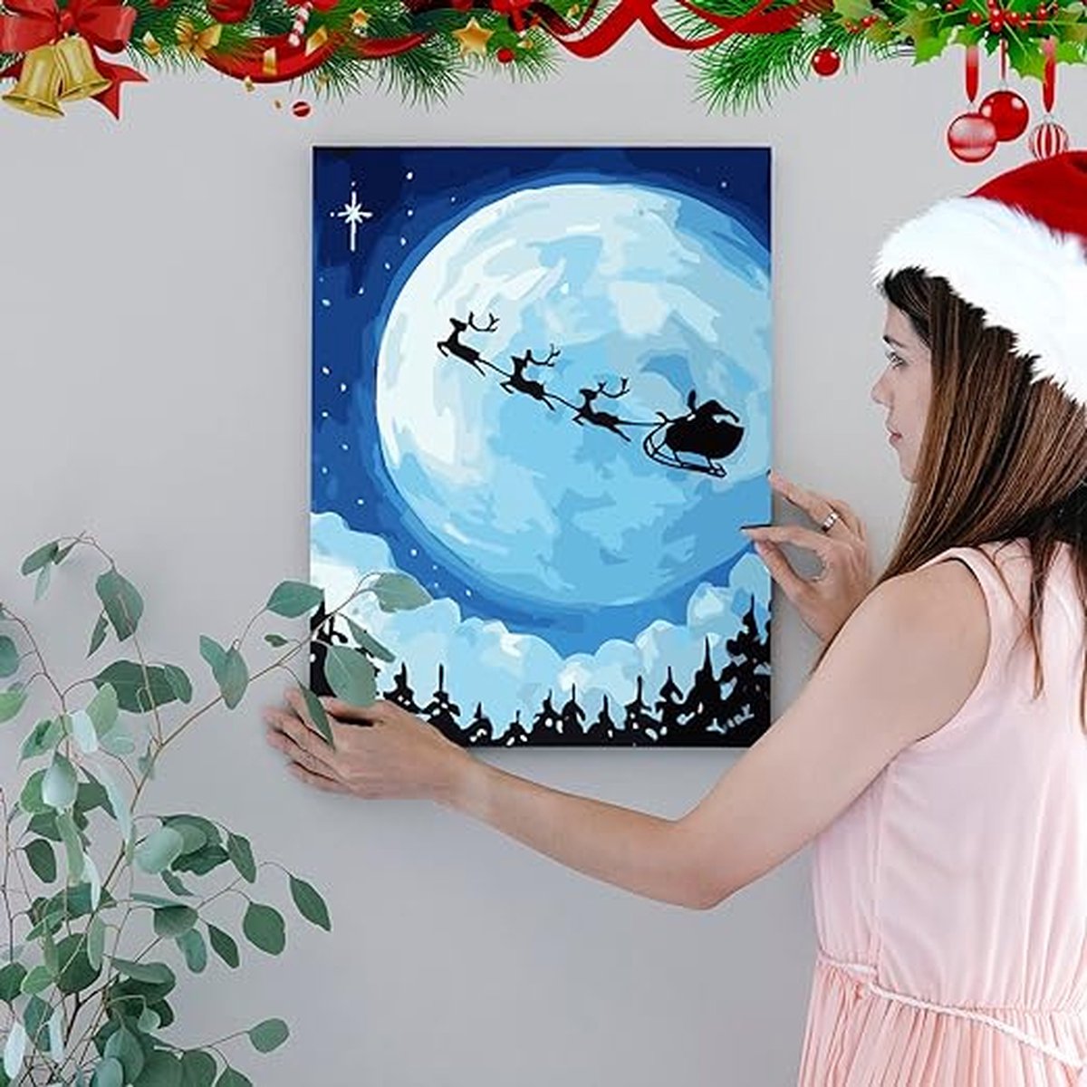 Schilderen op nummer voor volwassenen doe-het-zelf handgeschilderde olieverfset voor beginners en volwassenen 40x50cm