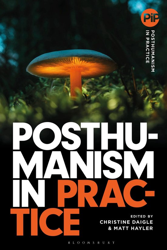 Posthumanism in Practice- Posthumanism in Practice - cover