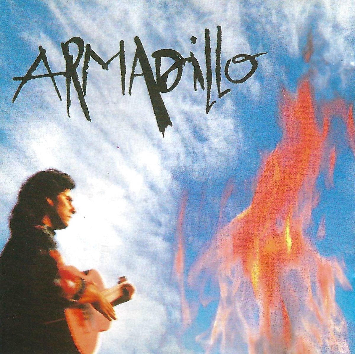 Armadillo