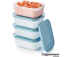 Tupperware Essentials Freezer Mates, Diepvries Vershoudbakjes Met Deksel - 4 Bakjes van 450 ml