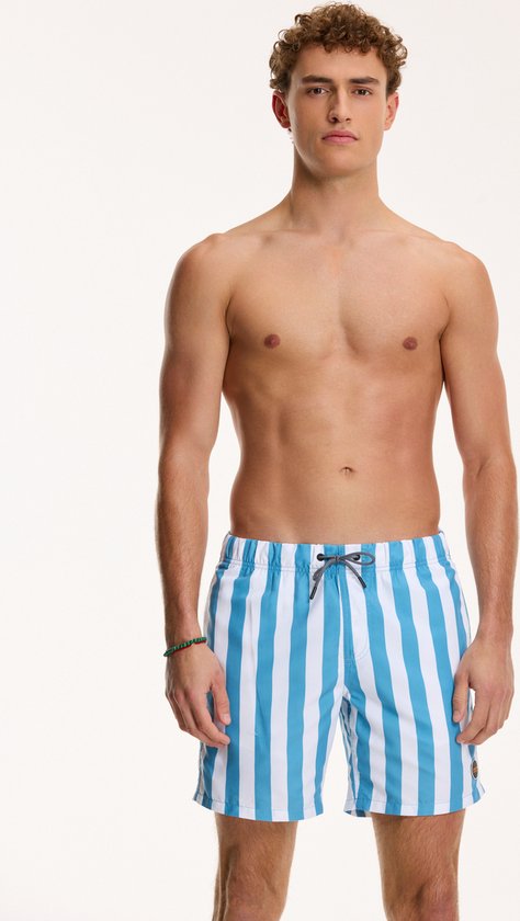 Shiwi SWIMSHORTS Regular fit broad stripe - canadian blue - L