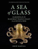 A Sea of Glass – Searching for the Blaschkas` Fragile Legacy in an Ocean at Risk