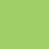 Intensief Groen - A2 (594x420) - 160 GM - 50 vel