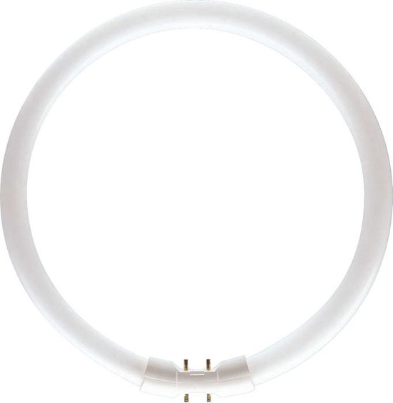 Philips MASTER TL5 Circular ampoule fluorescente 22,3 W 2GX13 Blanc chaud