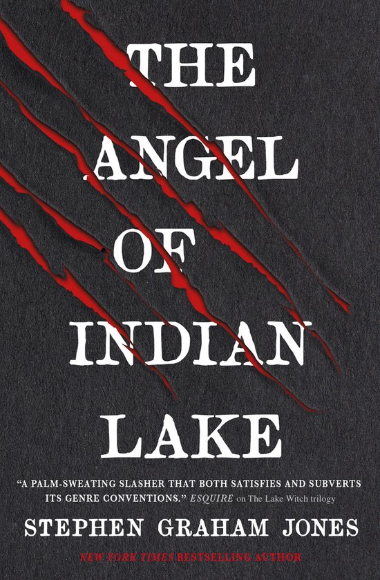 The Angel of Indian Lake - cover