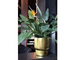 Bloempot Roskilde | Small | Gold - Goud | Plantenbak | Ø37xH40cm