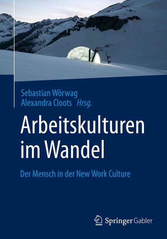 Business and Economics (German Language) - Arbeitskulturen i ... - cover