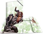 HERMA Monkey gang, Conventionele hechtmap, A3, Polypropyleen (PP), Meerkleurig, Elastische band, 335 mm