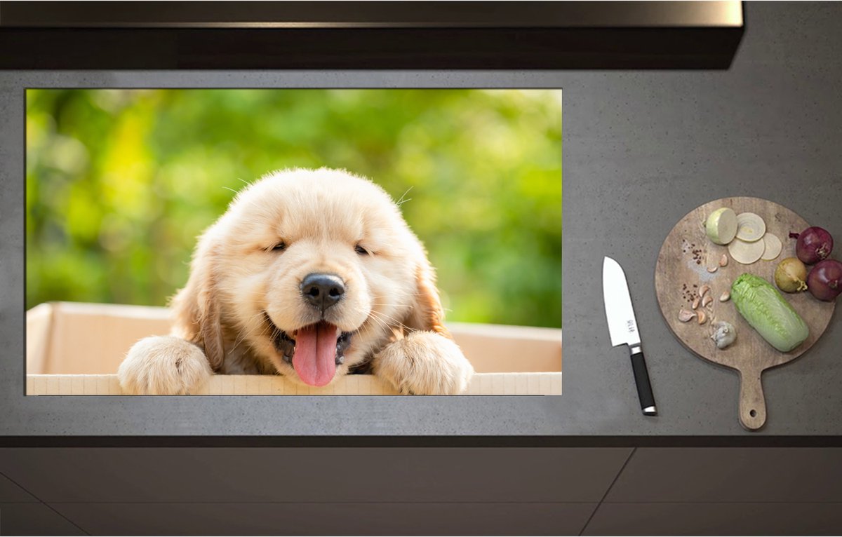 Inductieplaat Beschermer - Blije Golden Retriever Puppy in Kartonnen Doos - 95x55 cm - 2 mm Dik - Inductie Beschermer - Bescherming Inductiekookplaat - Kookplaat Beschermer van Wit Vinyl