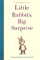 Colour Fiction- Little Rabbit's Big Surprise