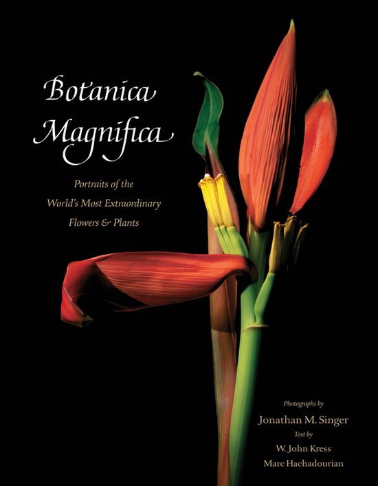 Botanica Magnifica Portraits Of The Worl