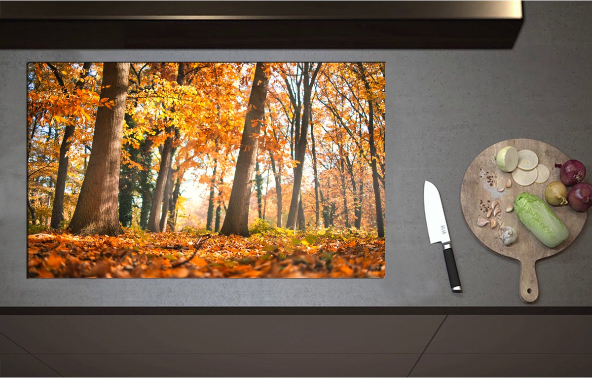 Inductieplaat Beschermer - Bos in de Herfst vanaf Kikkerperspectief - 90x55 cm - 2 mm Dik - Inductie Beschermer - Bescherming Inductiekookplaat - Kookplaat Beschermer van Zwart Vinyl