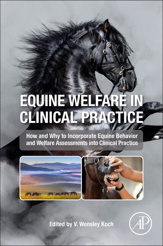 Couverture du livre avec un majestueux étalon noir se cabrant, portant le titre 'Equine Welfare in Clinical Practice'.