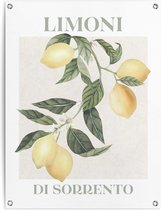 Tuinposter Limoni 80x60 cm