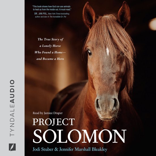 Project Solomon - cover