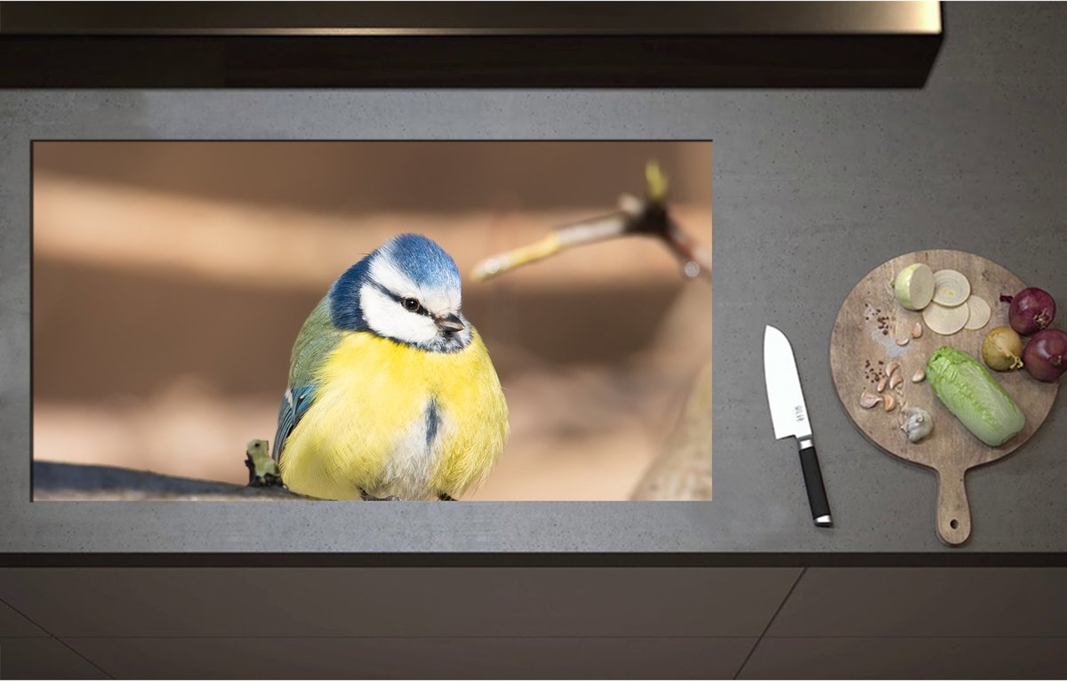 Inductieplaat Beschermer - Bol Pimpelmeesje Zittend op Tak - 95x51 cm - 2 mm Dik - Inductie Beschermer - Bescherming Inductiekookplaat - Kookplaat Beschermer van Zwart Vinyl