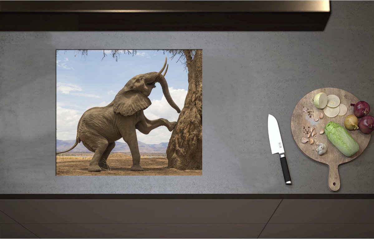 Inductieplaat Beschermer - Blije Afrikaanse Olifant - 59x51 cm - 2 mm Dik - Inductie Beschermer - Bescherming Inductiekookplaat - Kookplaat Beschermer van Zwart Vinyl