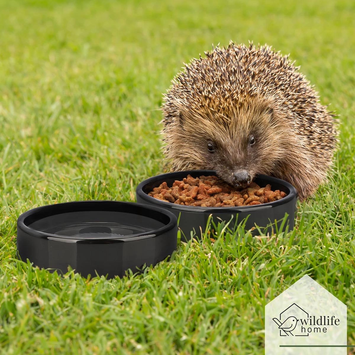 Wildlife Home - Egel voer- en drinkbakje (2-delig) (ca. 12 x 12 x 3 cm) - Speciaal aangepaste hoogte voor egelvriendelijk gebruik - Vorstbestendig keramiek