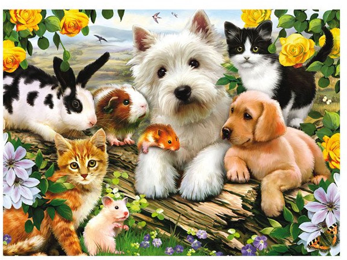 Ravensburger puzzel Dierenvriendjes - Legpuzzel - 300 stukjes — afbeelding 5