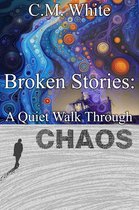 Broken Stories: A Quiet Walk Through Chaos