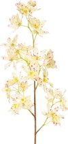 Gele orchidee - Hoge kwaliteit kunstbloem - Kunstplant - Losse tak - 77 cm