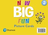 Big Fun- New Big Fun - (AE) - 2nd Edition (2019) - Picture Cards - Level 2