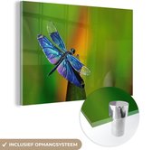 Peinture sur verre MuchoWow® - Une libellule bleue - 30x20 cm - Peintures sur verre acrylique - Photo sur Glas