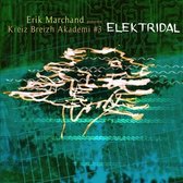 Erik Marchand - Elektridal (CD)