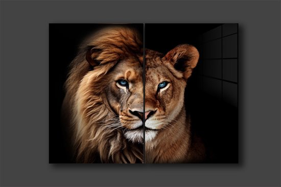 Leeuw en leeuwin set schilderij op plexiglas 60/90cm