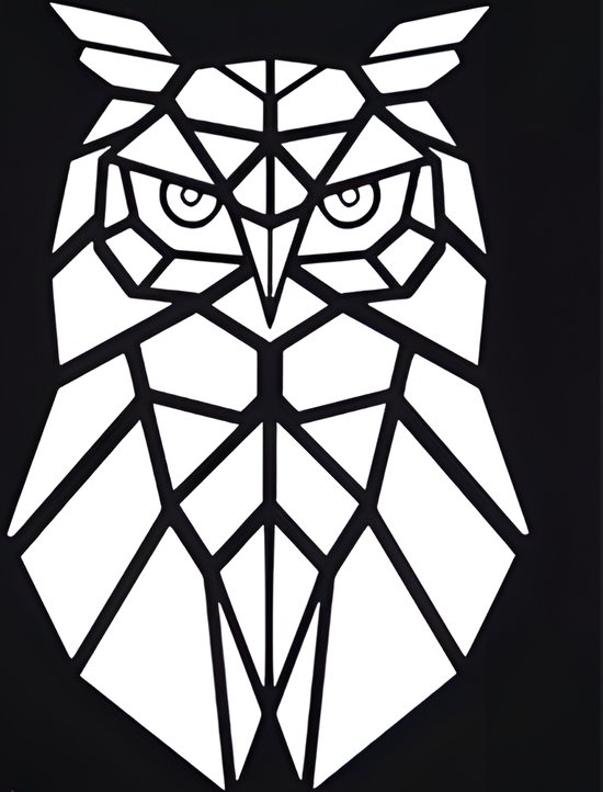 Acrylaat Muurdecoratie "Owl" - 50x70cm - Dieren - Zwart | NUUW at home collectie