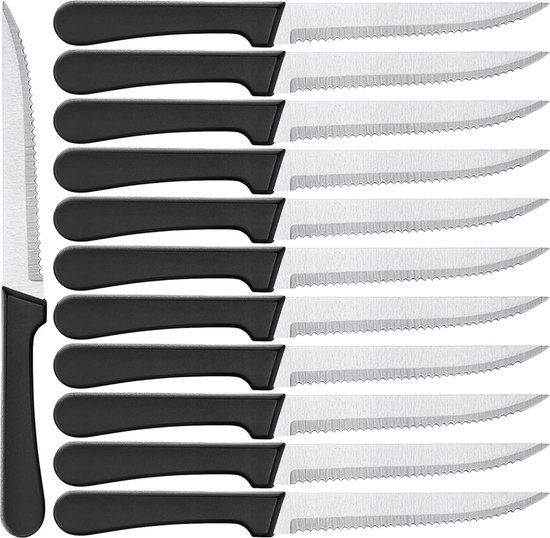 Steakmessen set 12 stuks roestvrij staal 22 cm steak messen set steak