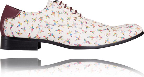 Rainbow Birdy - Maat 40 - Lureaux - Kleurrijke Schoenen Voor Heren - Veterschoenen Met Print