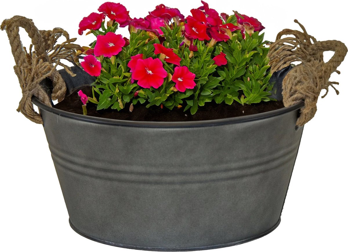 Goedkoopste Mega Collections Teil/plantenpot/bloempot Old Rope - zink - antraciet - D30 X H14 cm
