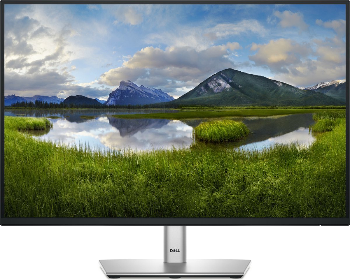 DELL P Series P2425E computer monitor 61,1 cm (24.1") 1920 x 1200 Pixels WUXGA LCD Zwart