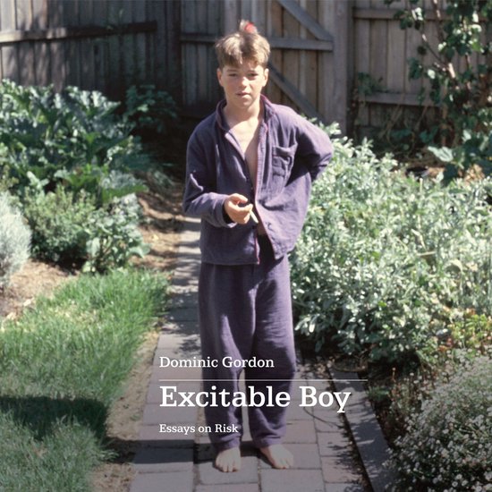 Excitable Boy - cover