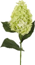 Viv! Home Luxuries Hortensia - Hortensia plume - fleur en soie - vert - 71cm