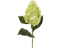 Viv! Home Luxuries Hortensia - Pluimhortensia - zijden bloem - groen - 71cm
