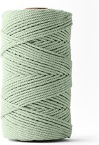 Ledent macramé touw (3mm, 120M), dubbel getwist - 100% geregenereerd katoenkoord - Macramé touw in het eucalyptus om mee te knutselen.