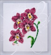 BORDUURPAKKET met parels - Orchid - Rode Orchidee - 0996 - VDV - borduren met kralen
