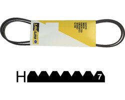 Geschikt voor ZANUSSI - SNAAR POLY-V 1938 H7 - 50205820009