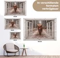Een arrangement van vier posters met Schotse hooglanders, weergegeven in open ramen, in verschillende formaten.