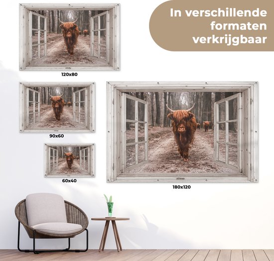 Een arrangement van vier posters met Schotse hooglanders, weergegeven in open ramen, in verschillende formaten.