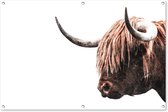 Tuinposter - Tuindoek - Tuinposters buiten - Schotse hooglander - Koeien - Hoorn - 120x80 cm - Tuin