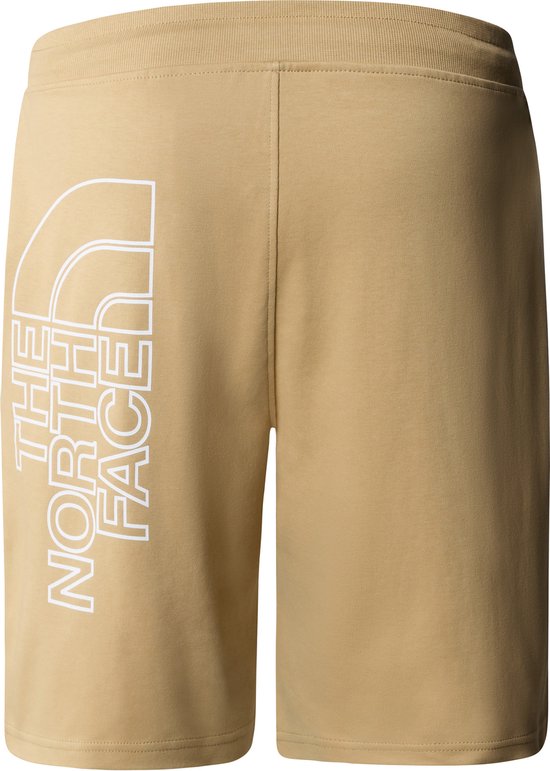 The North Face Mens Graphic Short Light 2024