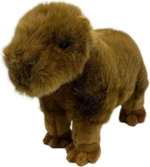 Capybara knuffel - 32 cm - Pluche