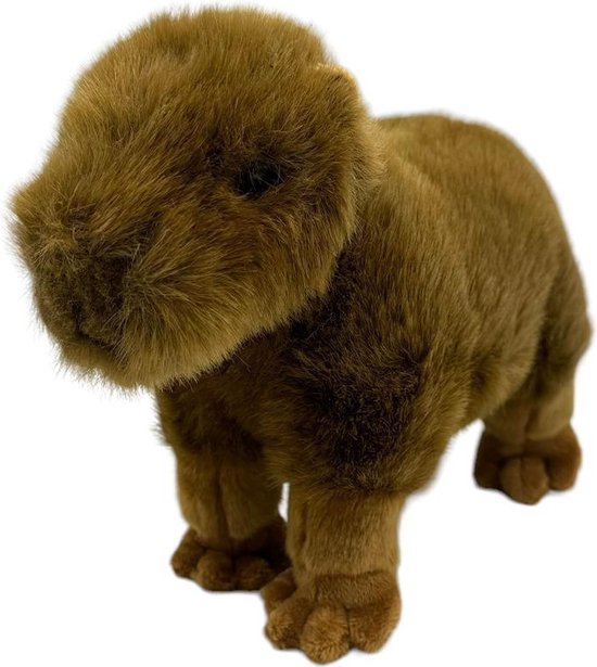 Equivera Capybara Knuffel - Capibara Knuffel - Capibara Pluche Slaapknuffel Knuffelvriend Premium Knuffel 143875